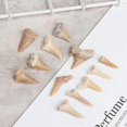 thumbnail image 3 of Natural Animal Tooth Shark Tooth Mineral Specimen Gift Decorative Pendant Toys, 3 of 5