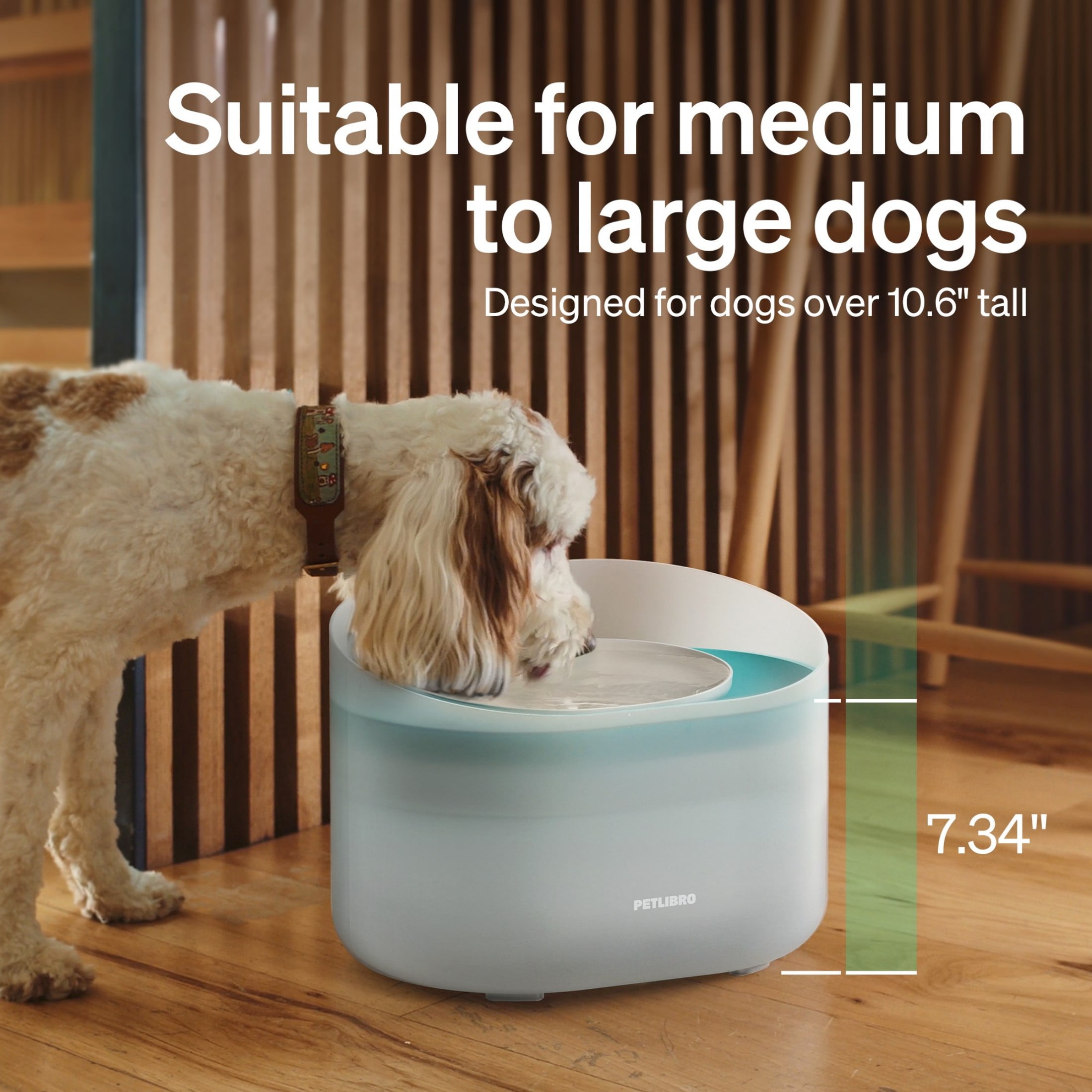 Petlibro 270oz/2.1Gal/8L Capsule Dog Water Fountain – Anti-Splash, Super Quiet Dispenser for Medium to Large Dogs, Ideal for Dogs, and Multi-Pet Homes