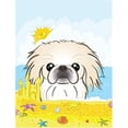 thumbnail image 1 of Carolines Treasures BB2089GF Drapeau de Plage d'Été, 1 of 3