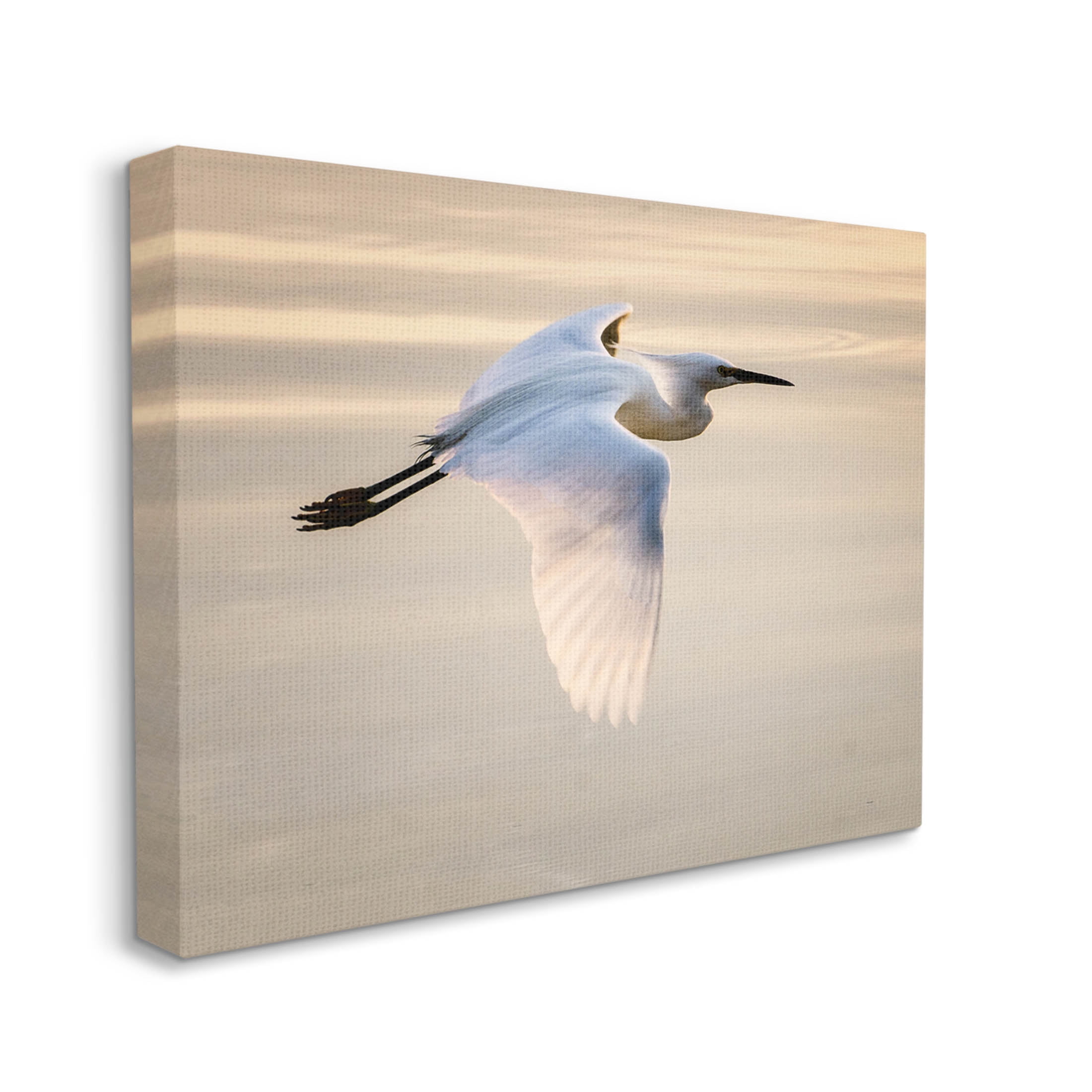 Egret Gliding Aerial View Animals & Insects Photograph Gallery Wrapped Canvas Print Wall Art