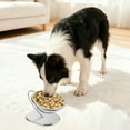 thumbnail image 3 of Bol d'Alimentation Surélevé en Acier Inoxydable pour Chats et Chiens avec Base Stable et Gamelle Surélevée pour Facile, 3 of 5