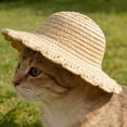 thumbnail image 5 of Pet Cat Sun Hat, Mini Cute Pet Cat Summer Sun Protection Hat, Adjustable Small Dog Beach Cap, Fashion Accessory for Cat Dog Outdoor Daily Activity, 5 of 6