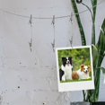 thumbnail image 4 of LOVEVER Pinces Alligator DIY Double Extrémités Pinces Dossier Photo Suspendu, 4 of 6