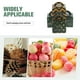 thumbnail image 5 of 12PCS Cajas de manzanas navideñas con mango Galletas festivas Calcetines para dulces Contenedores de regalo Favor de fiesta para decoración de embalaje (Patrón verde / aleatorio), 5 of 6