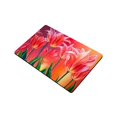 thumbnail image 2 of MKHERT Tulips Flower Painting Doormat Rug Home Decor Floor Mat Bath Mat 23.6x15.7 inch, 2 of 3