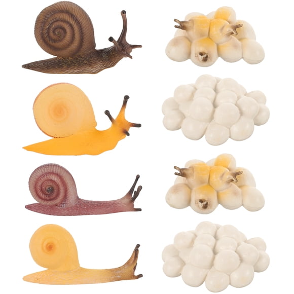 WORGEOUS 2 conjuntos Modelo de crecimiento de caracol Toyadores de ciclo de crecimiento de caracol Modelos educativos de caracol Modelos de caracol