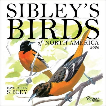 Sibley's Birds of North America 2026 Wall Calendar, (Paperback)