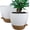 White With Brown, variant on 12inch 2Pack Large Self Watering Planters, Pots with 60oZ Removable Deep Reservoir and Multi Mesh Drainage Holes for Indoor Outdoor Garden and , White with Brown