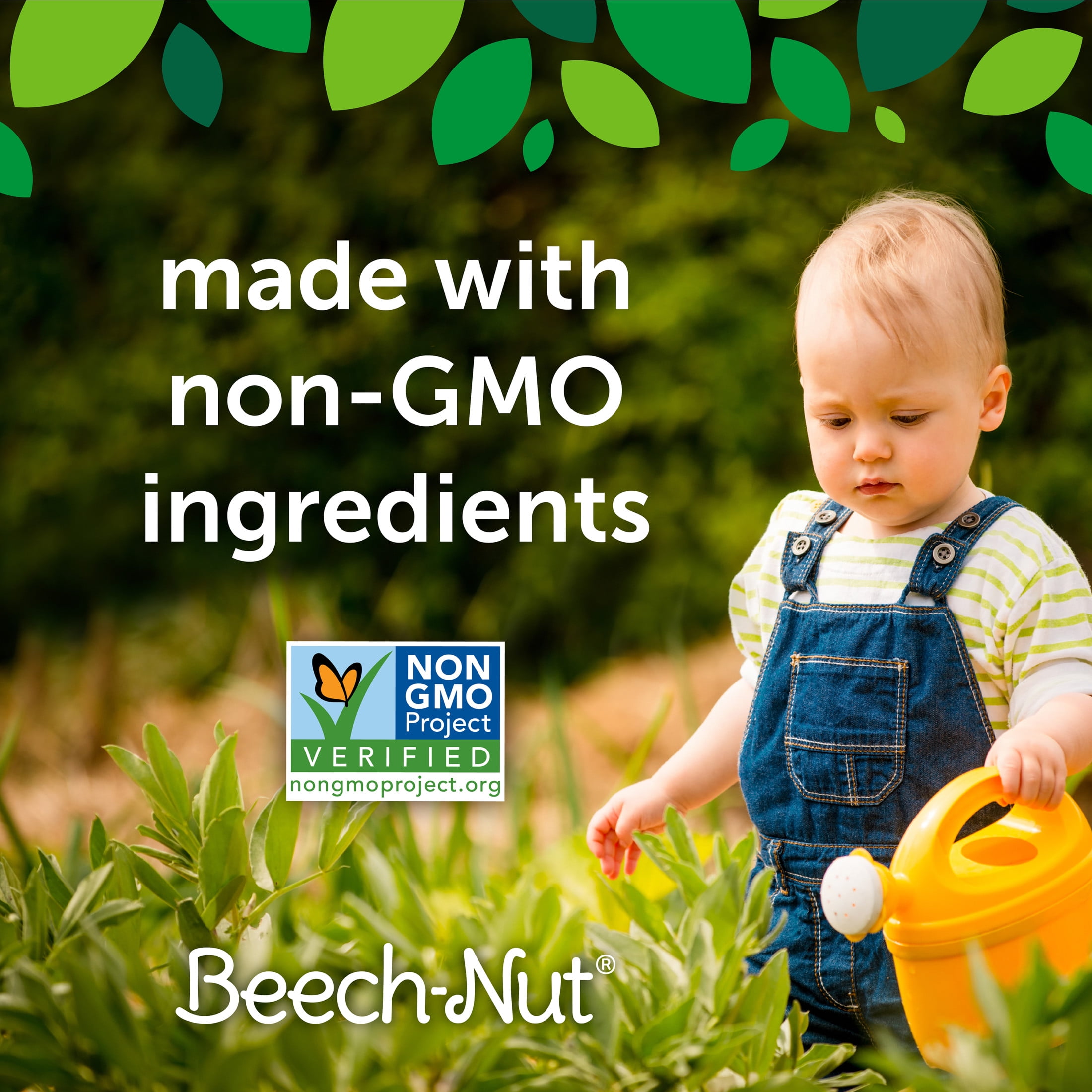 Beech-Nut Organics Stage 1 Organic Baby Food, Prunes, 4 oz Jar (10 Pack)