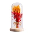 thumbnail image 2 of Regalos de flores para iluminar flores en cúpula de cristal, regalos del Día de San Valentín, lámpara LED de mesa para cafetería, fiesta, aniversario rojo Yinane lámpara de noche, 2 of 8