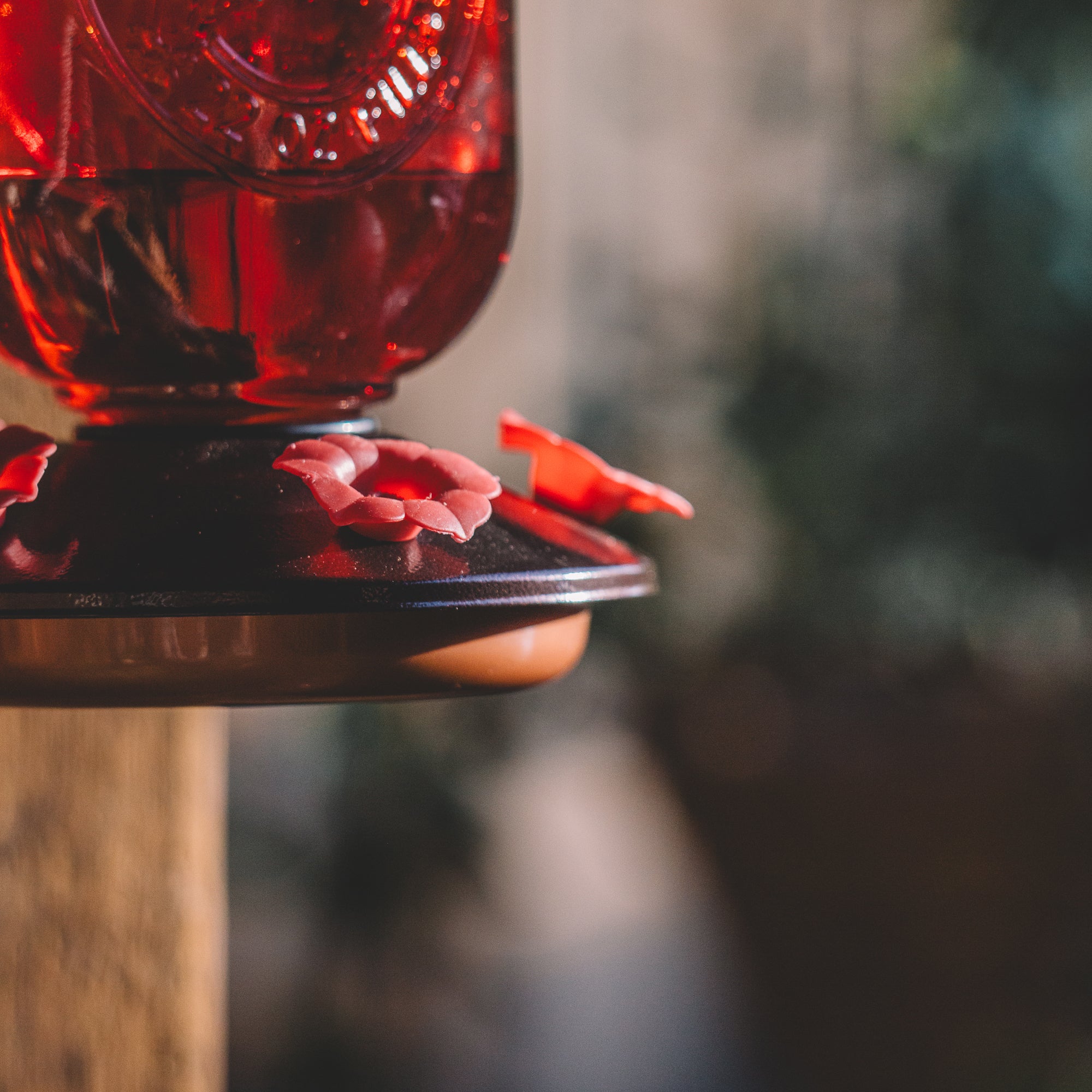 Backyard Expressions Red Embossed Oval Glass Hummingbird Feeder with Feeding Ports