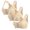 Beige, variant on Women Bras 3PC Front Closure Compression Bras For High Sports Everyday Comfortable Bras for Women Black S