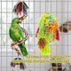 thumbnail image 3 of 5 juguetes para loros Sincero Accesorios para jaulas de loros, 3 of 5