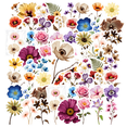 thumbnail image 1 of 35pcs-50pcs Natural Stickers Flower Stickers Floral Stickers Botanical Stickers for Laptops Notebooks Suitcases, 1 of 5