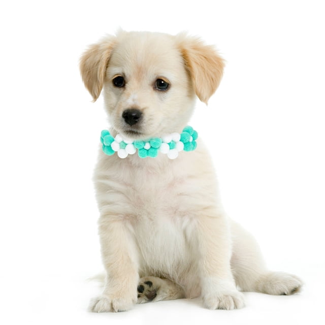 Moluckfu Collar Para Mascotas Con De Hecho Para Fiestas Y Uso Diario