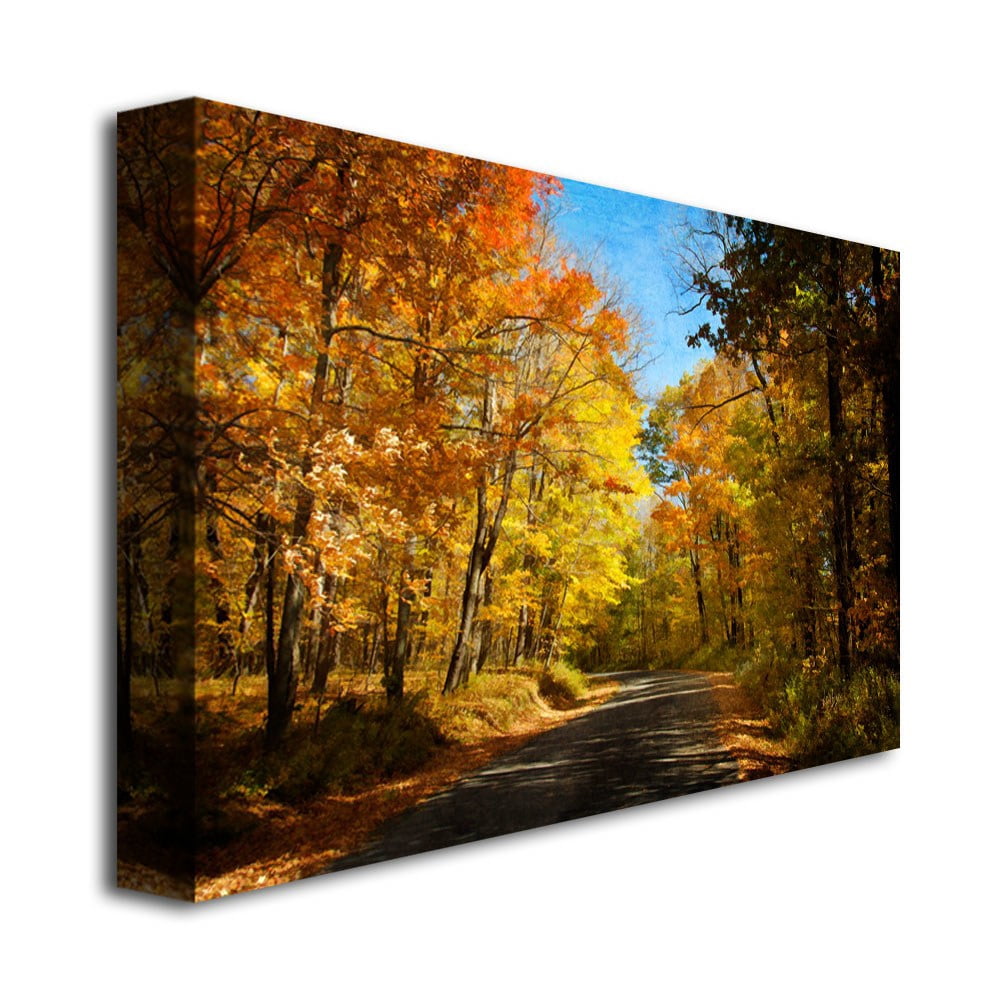 Trademark Fine Art "Fall Walkway" Canvas Wall Art by Lois Bryan