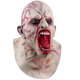 thumbnail image 5 of Máscara de Halloween Biochemical Zombie & Demon Latex Horror Party, 5 of 5