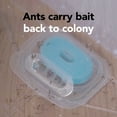 thumbnail image 5 of Raid Max Liquid Ant Bait, Kills the Colony, Ant Poison Bait Stations for Home, 4 Count, 5 of 16