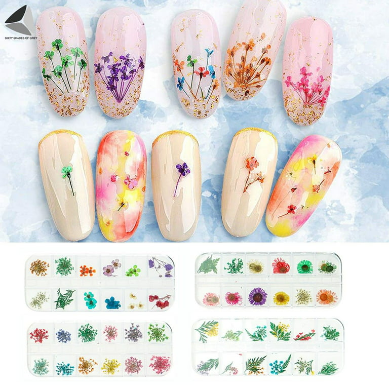 6pcs/set Dried Flower Nail Art Decoration In Box, Mini Real