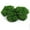 Dark Green 5.3oz, variant on RUseeN Artificial Moss for Crafts, 5.3oz Fake Green Moss for Potted Plants, Faux Moss Decor for DIY Decorative, Walls,Table Centerpieces Decor Fairy Garden Model Making (150g, Dark Green)