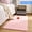 Pink-2x5.2ft, variant on Tripumer Bedside Rugs Furry Area Rug 2 x 6 feet Thin Shaggy Indoor Floor Carpet Runner Rugs for Living Room Bedroom Home Decor White