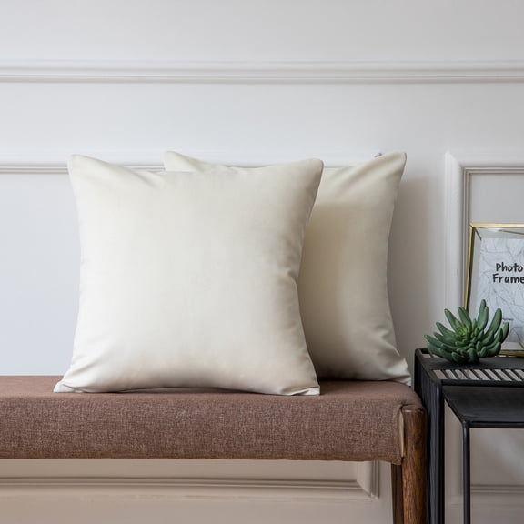 Ashler Soft Velvet Throw Pillow Cushion Home Decorative, Off white, 20 x 20 inch, 2 Packs