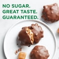 thumbnail image 6 of RUSSELL STOVER Sugar Free Pecan Delight Chocolate Candy, 10 oz. bag, 6 of 11