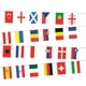 thumbnail image 3 of Banderas Cuerda 2024 24 Países Poliéster Impresa para Eventos Fútbol 7M, 3 of 4