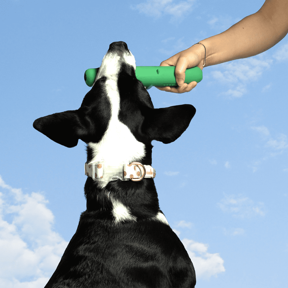 Oodles Durable Rubber Green Animal Fetch Dog Toy, O/S