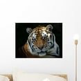 thumbnail image 1 of Tiger Wall Mural Decal Sticker, Wallmonkeys Peel & Stick Vinyl Graphic (18 in W x 14 in H), 1 of 4