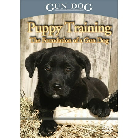 Gun Dog Dvd Puppy Training Gun Dog Dvd Puppy Training