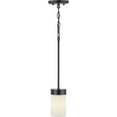thumbnail image 4 of Progress Lighting Elevate 1-Light Mini Pendant, Glass, Polished Chrome, Etched White Shade, Design Series Collection, 4 of 7