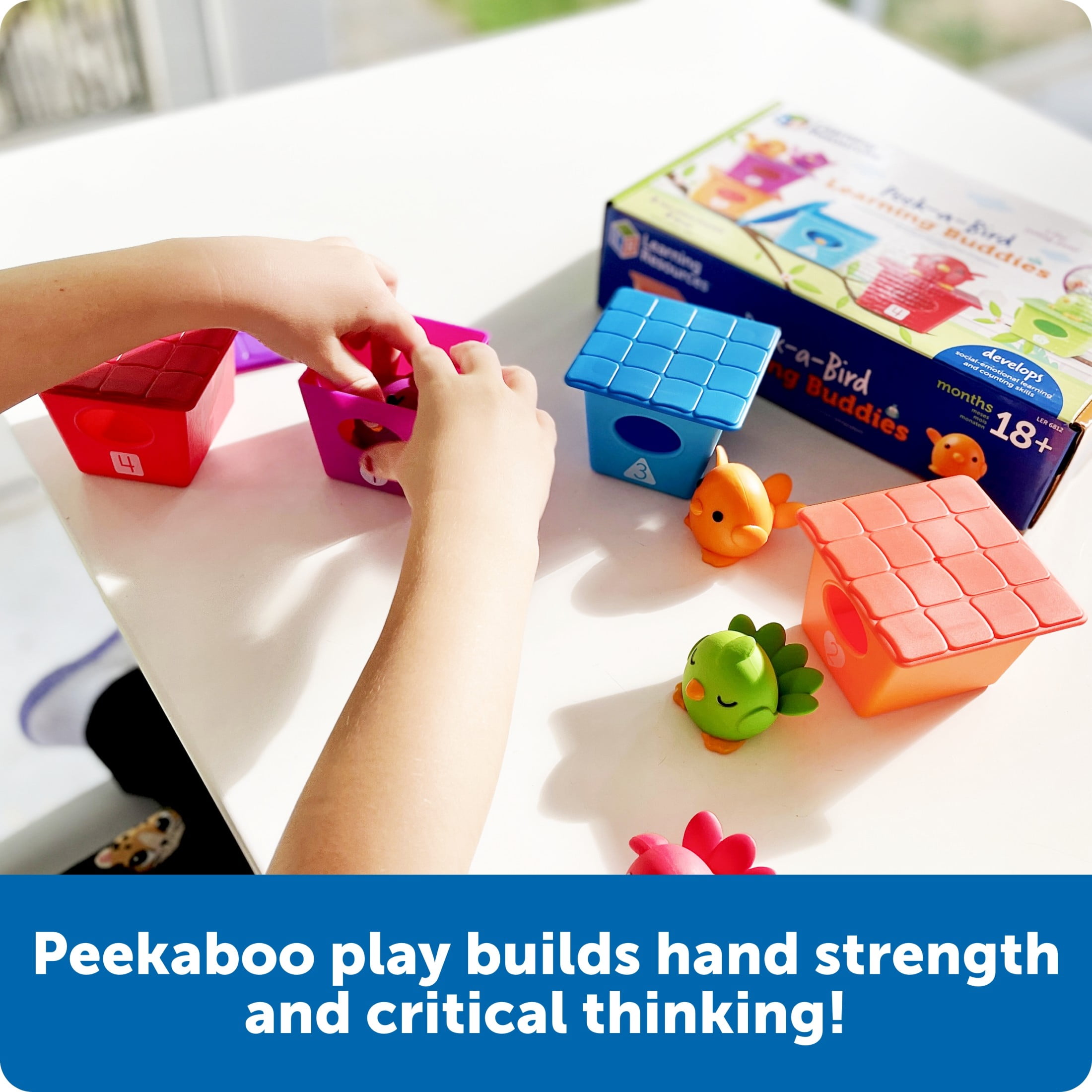 Learning Resources Peek-a-Bird Learning Buddies Toddler Learning Toys for Boys and Girls Ages 18 Months