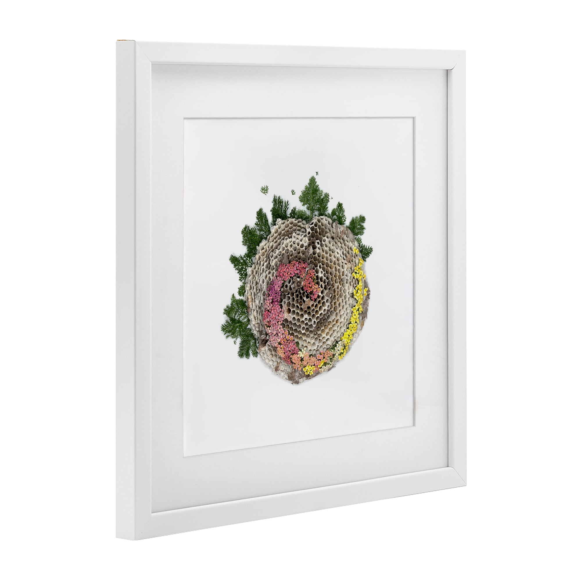 Stupell Industries Honeycomb with Botanicals White Framed Print Under Glass, design by Beth Adoette