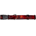 thumbnail image 1 of Buckle-Down Simba Scar Battle Scene Fiery Red Disney Martingale Plastic Clip Collar, 1 of 1