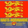 thumbnail image 3 of CafePress - Haute Normandie (Flag 10) Men's Deluxe T Shirt - Mens Tri-blend T-Shirt, 3 of 4