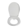 COZ NonElectric Elongated Toilet Bidet Seat with Cover & Self