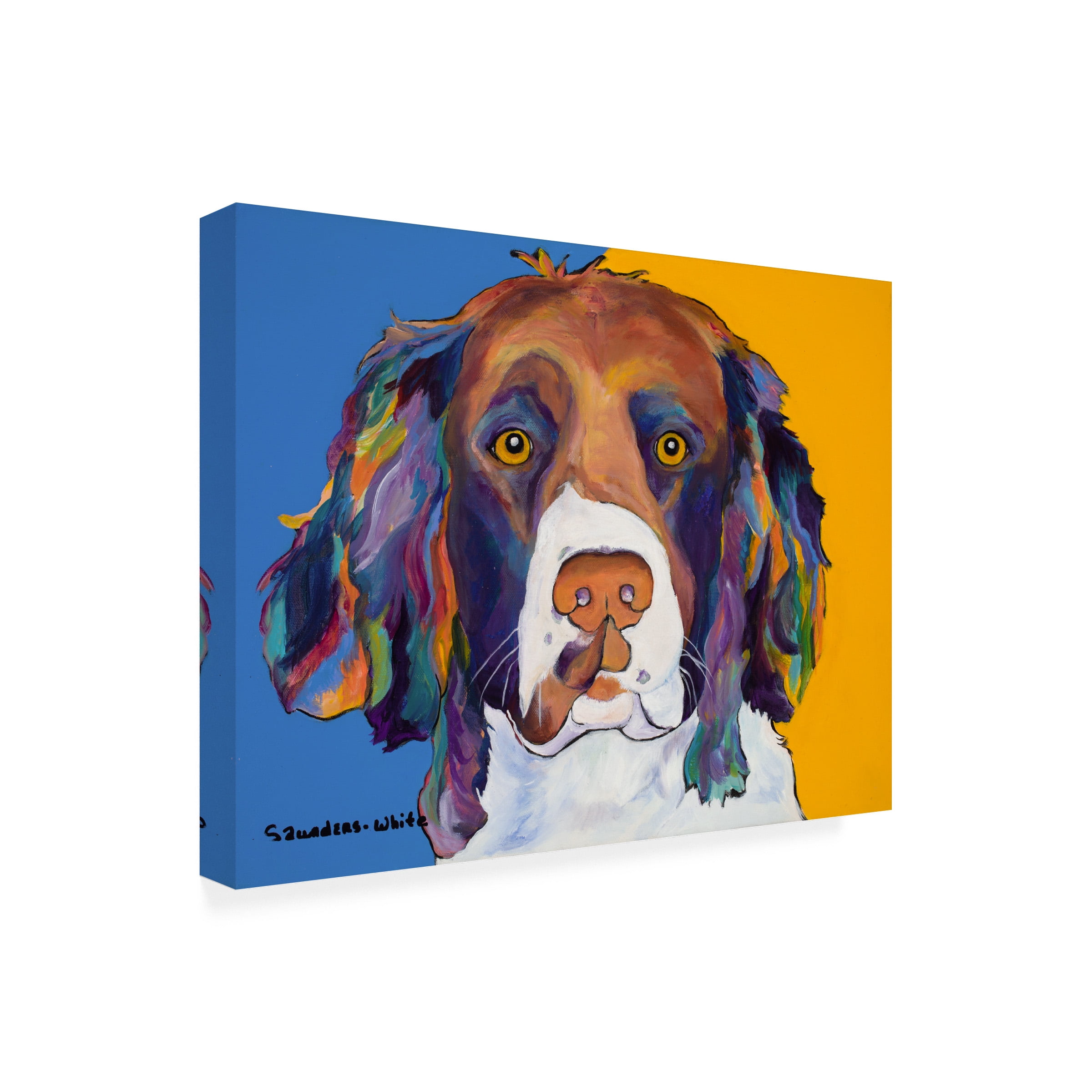 Pat Saunders-White 'Rainie' Canvas Art