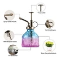 thumbnail image 3 of Glass Plant Mister 200ML, Vintage Glass Spray Bottle with Top Pump, Fine Mist Watering Can Decoration for Indoor Outdoor Plant, 3 of 7