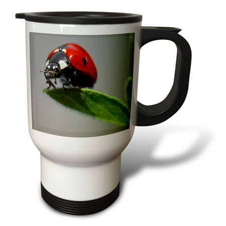 

3dRose Ladybug Up Real Close Travel Mug 14oz Stainless Steel