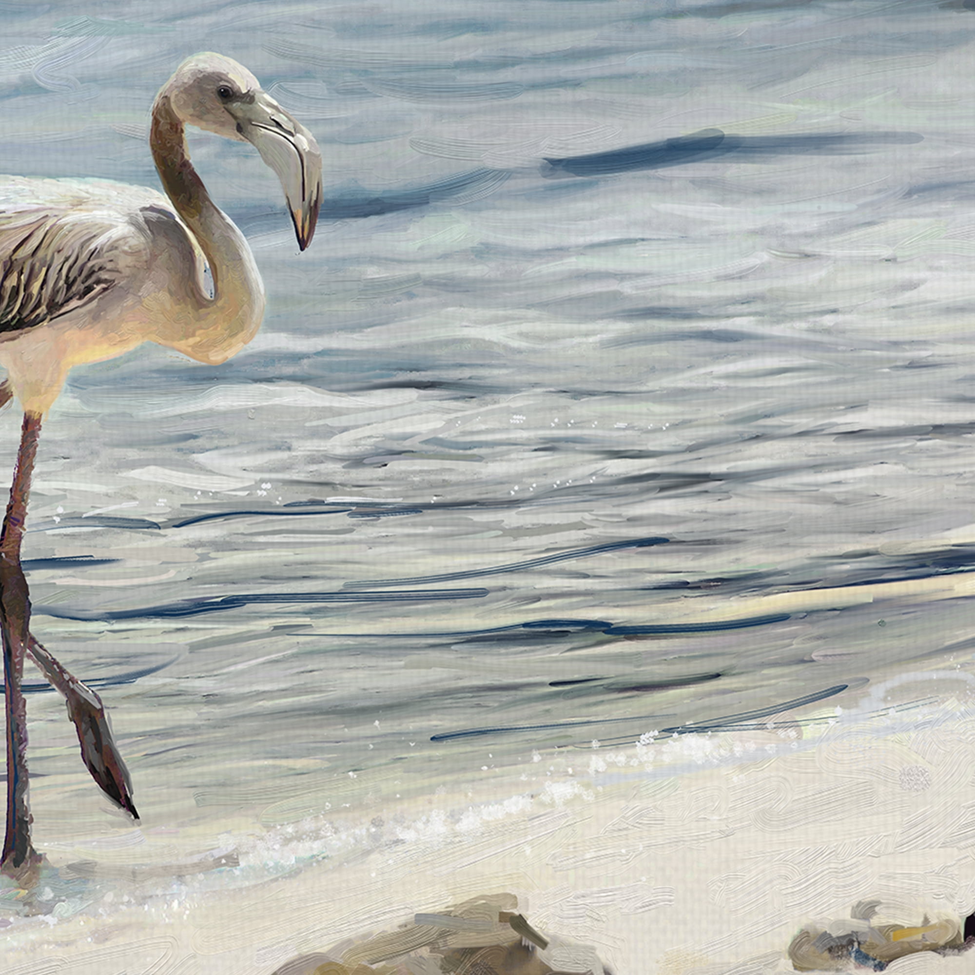 Shorebird by Studio Arts Canvas Art