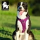 thumbnail image 4 of TRUELOVE Pet Nylon Harness Light-weight Double-H Shape Embroidery 5 Adjustable Positions Medium and Large Dog Waterproof  YH1807 ShopWise Round, 4 of 9
