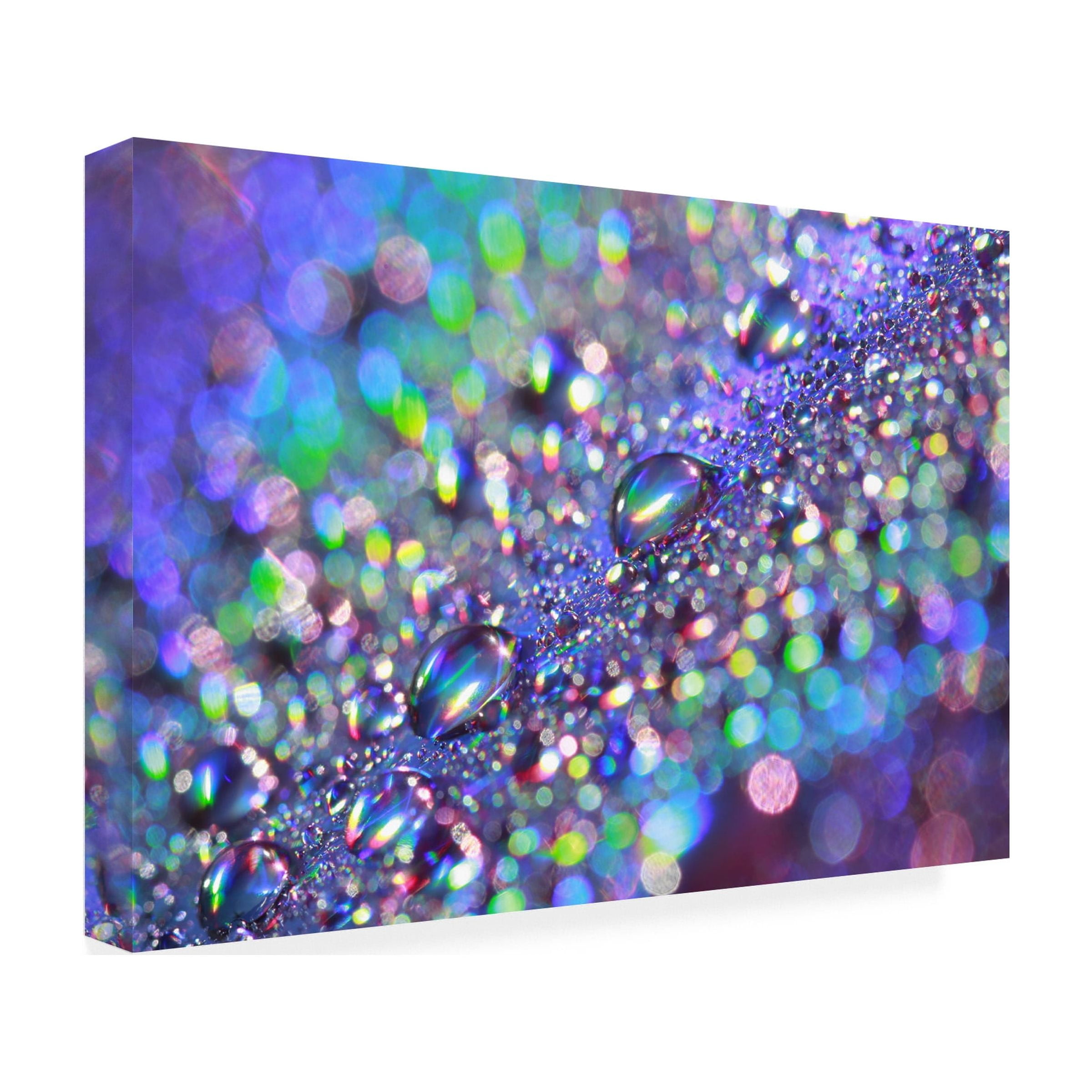 Trademark Fine Art "Colours of Rainbow" Canvas Art by Beata Czyzowska Young