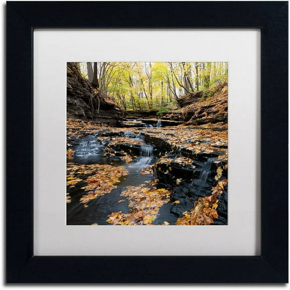 Trademark Fine Art "Lakeview Autumn Falls" Canvas Art by Kurt Shaffer White Matte, Black Frame