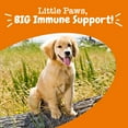 thumbnail image 6 of Zesty Paws Allergy & Immune Puppy Bites, Dog Supplement for Allergies & Immune Health, Lamb 60ct, 6 of 7