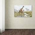 thumbnail image 3 of Trademark Fine Art 'Giraffe' Canvas Art by The Macneil Studio, 3 of 3