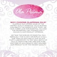 thumbnail image 7 of Ola Prima Vanilla Essential Oil, 16 fl oz, 7 of 7