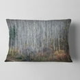 thumbnail image 2 of Designart Maroon Bells Mountain View - Modern Forest Throw Pillow - 12x20, 2 of 5