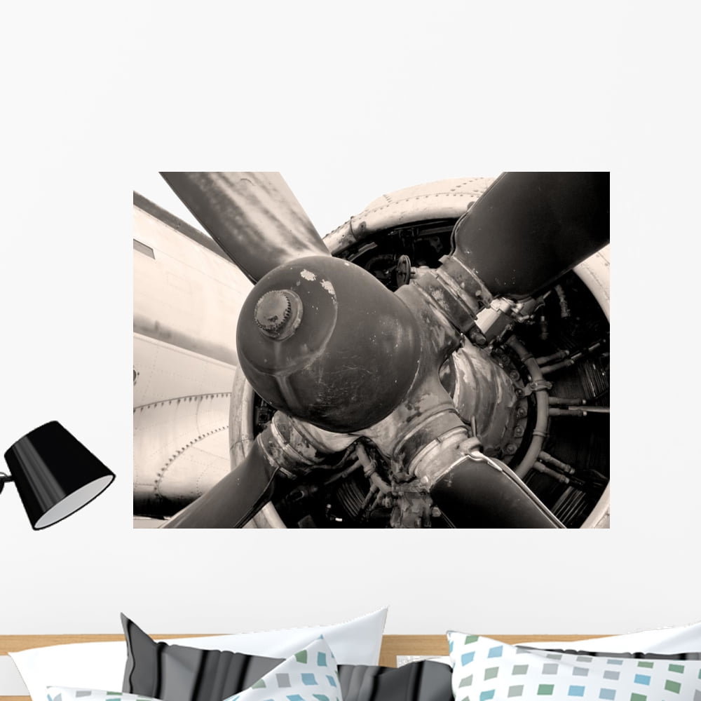 Vintage Airplane Wall Mural by Wallmonkeys Peel and Stick Graphic (36 in W x 27 in H) WM207070