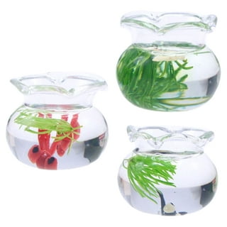 Glass Goldfish Bowl (MGB001) - China glass goldfish bowl fishbowl fish tank  and glass fish bowl tank decoration price